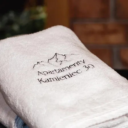 Apartment Kamieniec 30 Apartments2 Zakopane